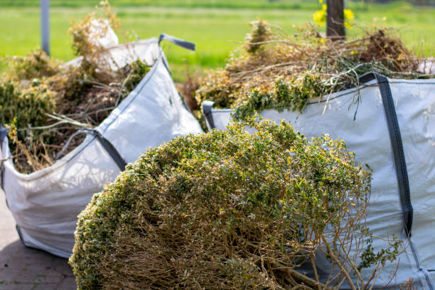 Best Demolition Debris Removal  in Clinton, MD